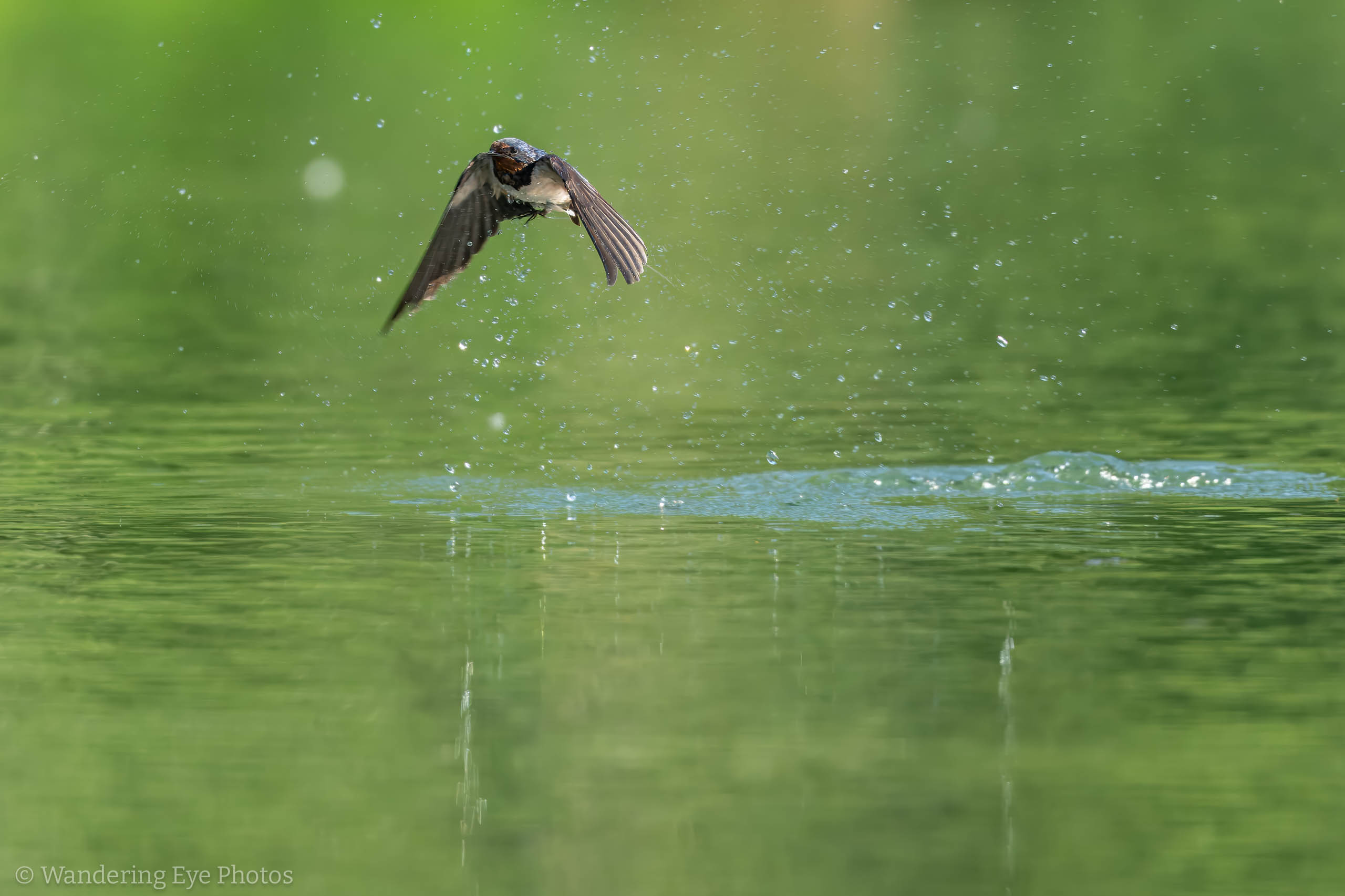 05.16 17.15.15 DSC00458